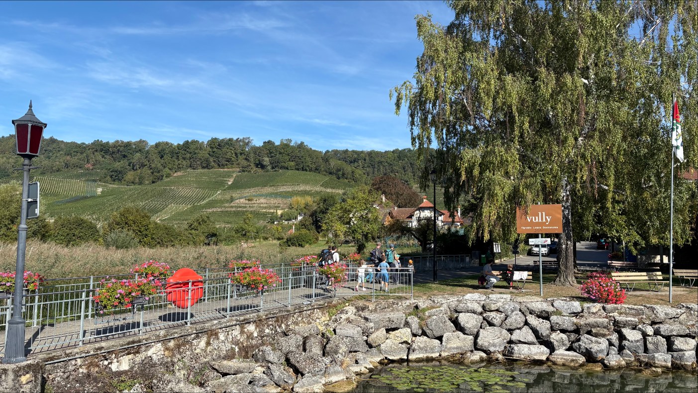 Vue sur le Vully et ses vignobles, district du Lac